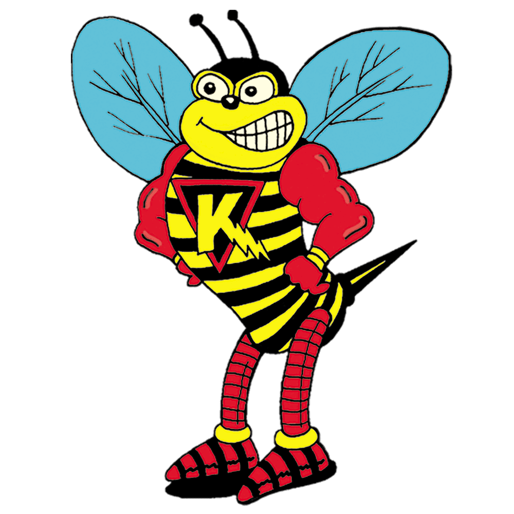 The Killer Bee Guy